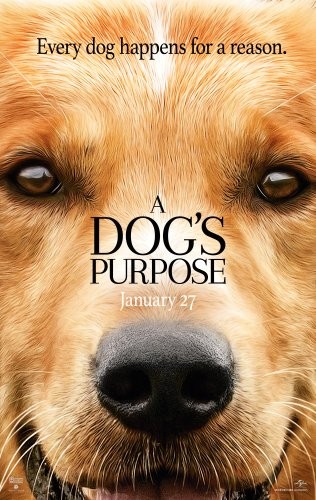 A.Dogs.Purpose.2017.1080p.BluRay.AVC.DTS-HD.MA.5.1-FGT
