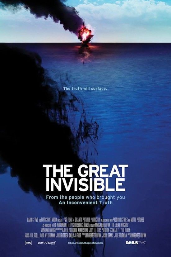 The.Great.Invisible.2014.1080p.NF.WEBRip.DD5.1.x264-SiGMA