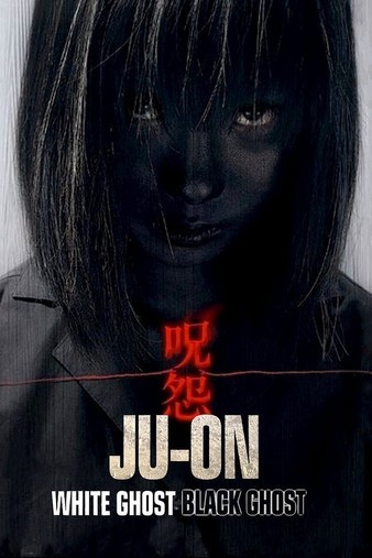 Ju-On.Black.Ghost.2009.JAPANESE.1080p.BluRay.x264.DTS-FGT