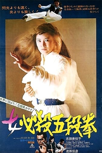 Sister.Street.Fighter.Fifth.Level.Fist.1976.1080p.BluRay.x264-GHOULS