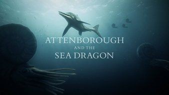 Attenborough.And.The.Sea.Dragon.2018.1080p.WEB-DL.AAC2.0.H264-ETV