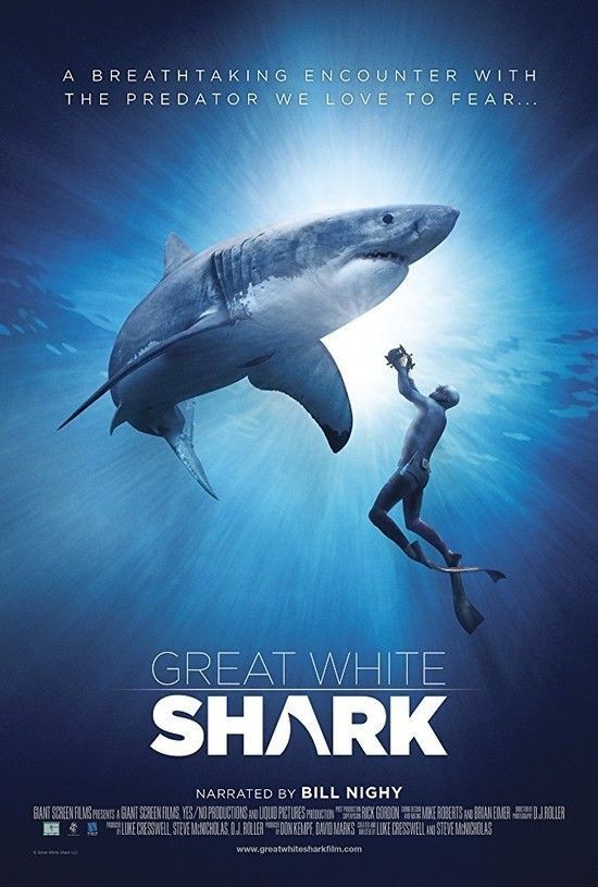 Great.White.Shark.2013.1080p.BluRay.x264.DTS-HD.MA.5.1-SWTYBLZ