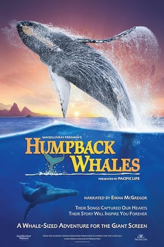 Humpback.Whales.2015.DOCU.1080p.BluRay.x264.DTS-HD.MA.7.1-SWTYBLZ