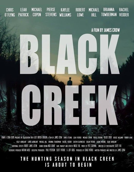 Black.Creek.2017.1080p.WEB-DL.AAC2.0.H264-FGT