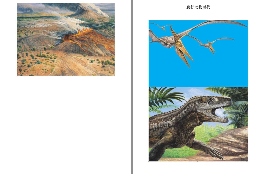 [教育科普] [其它] [网盘下载] 《恐龙百科》科学探索恐龙世界的无穷奥秘[epub] 二次世界 第8张