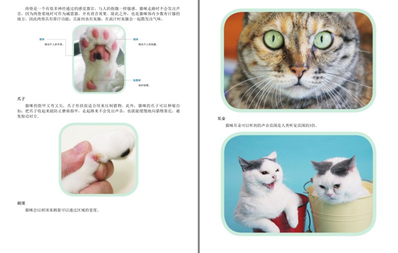 [杂志素材] [PDF] [网盘下载] 《猫咪家庭医学大百科》猫咪从出生到终老都用得上的书[pdf] 二次世界 第4张