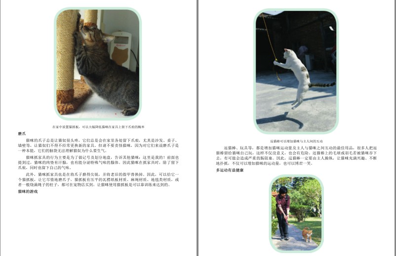 [杂志素材] [PDF] [网盘下载] 《猫咪家庭医学大百科》猫咪从出生到终老都用得上的书[pdf] 二次世界 第7张