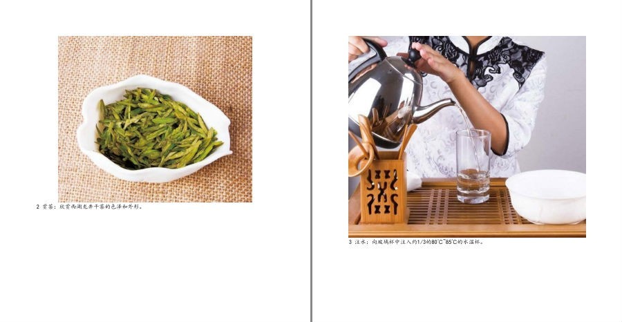 [生活文学]《茶饮与健康》慢生活工坊 绿茶 红茶 青茶等六大类茶的品鉴[epub] 二次世界 第7张