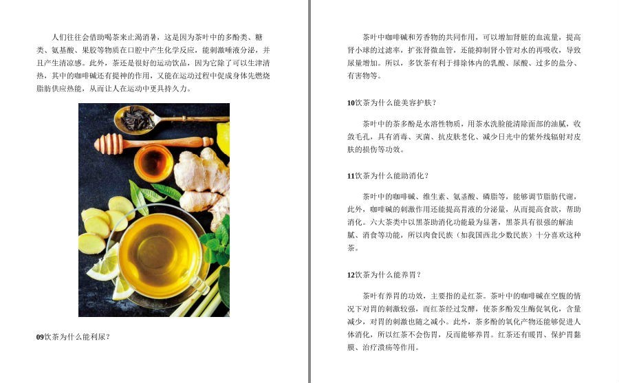 [生活文学]《茶饮与健康》慢生活工坊 绿茶 红茶 青茶等六大类茶的品鉴[epub] 二次世界 第3张