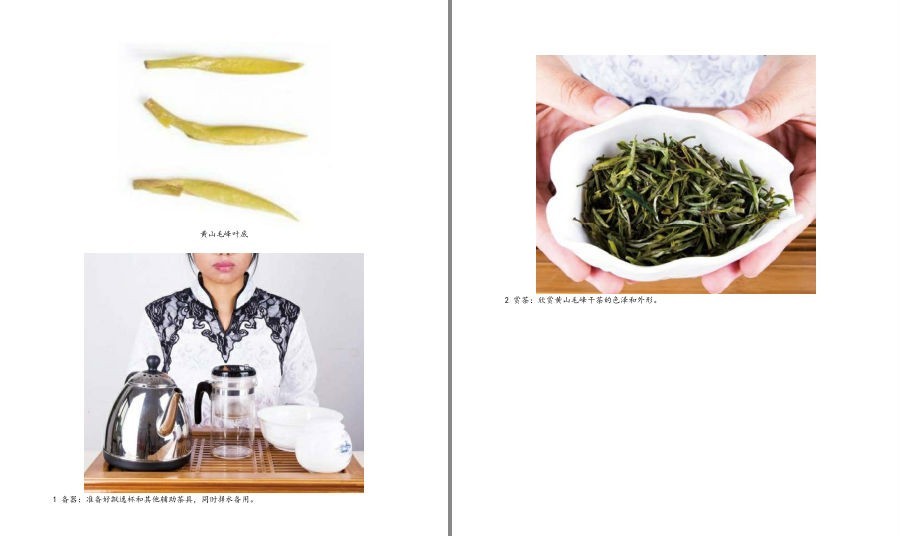 [生活文学]《茶饮与健康》慢生活工坊 绿茶 红茶 青茶等六大类茶的品鉴[epub] 二次世界 第11张